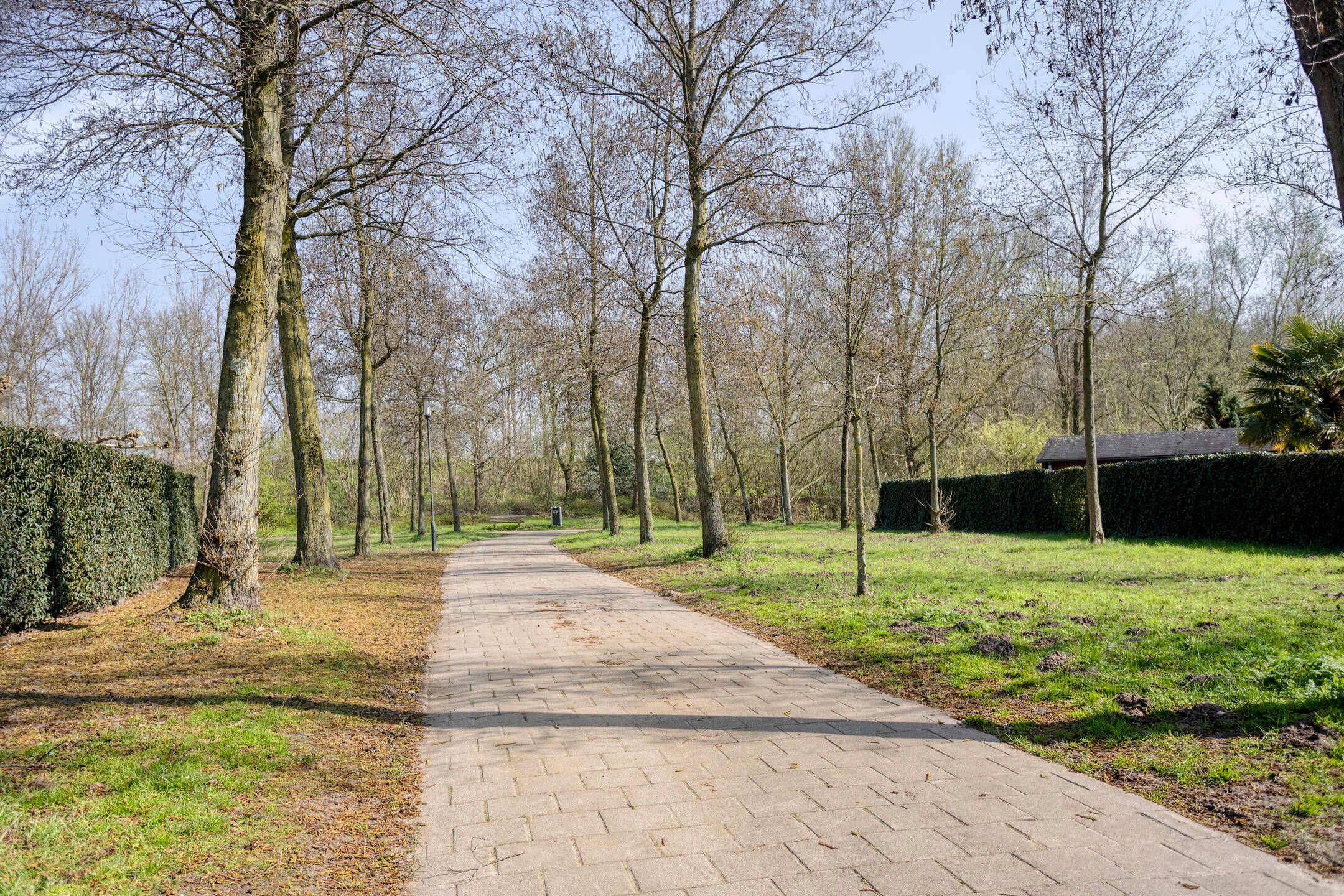 Foto 39 van van Glabbeekstraat 4