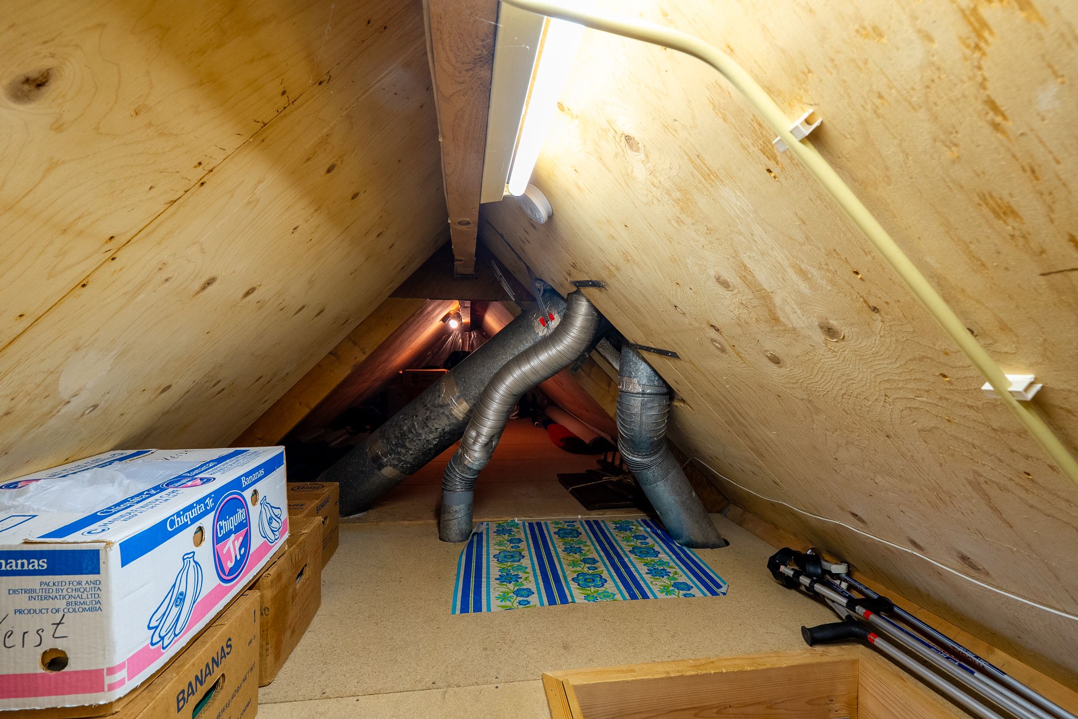 Photo 54 of Langakkers 7