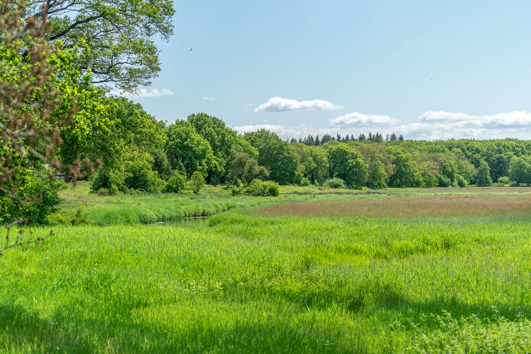 Photo 82 of Langakkers 7