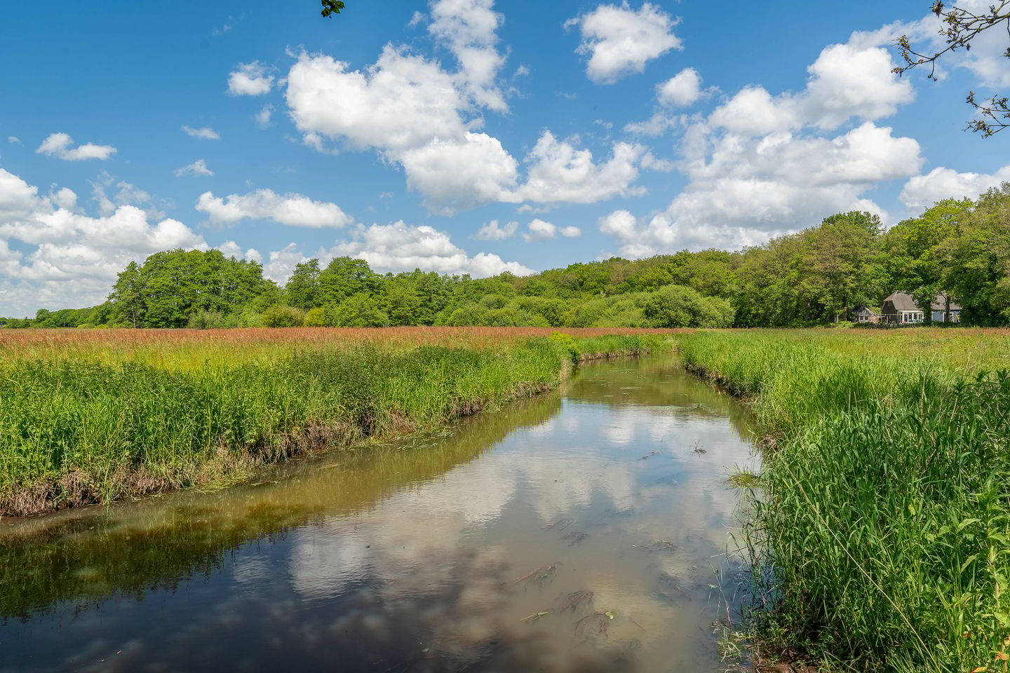 Photo 85 of Langakkers 7