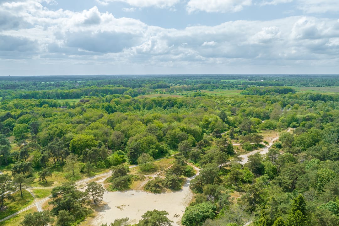 Photo 77 of Langakkers 7