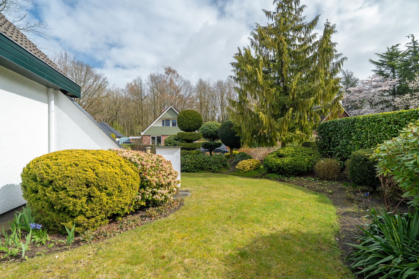 Photo 64 of Langakkers 7