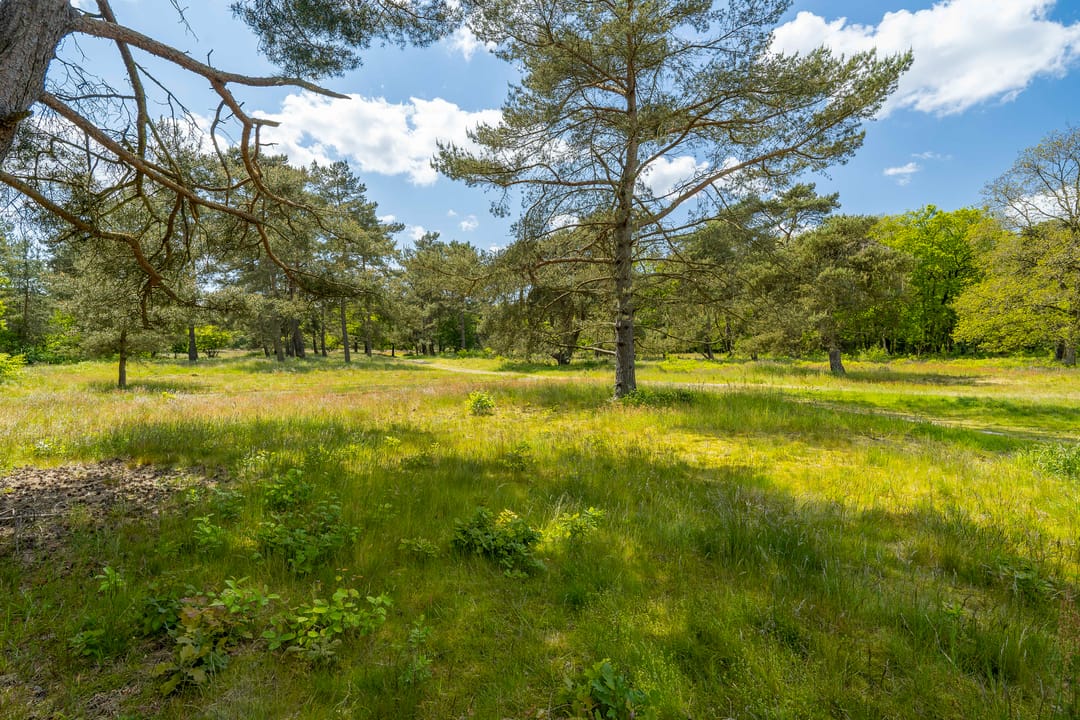 Photo 83 of Langakkers 7