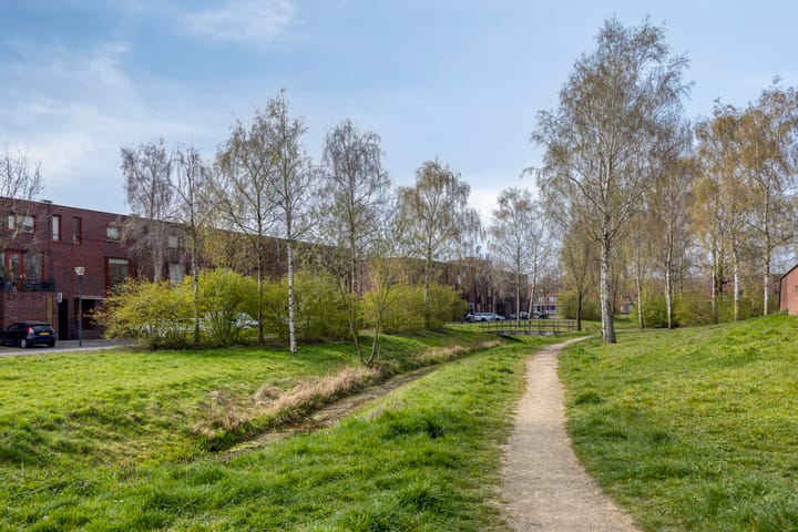 Foto 2 van Graskarper 35