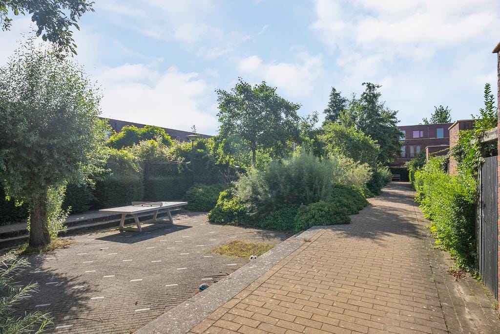 Foto 31 van Graskarper 35