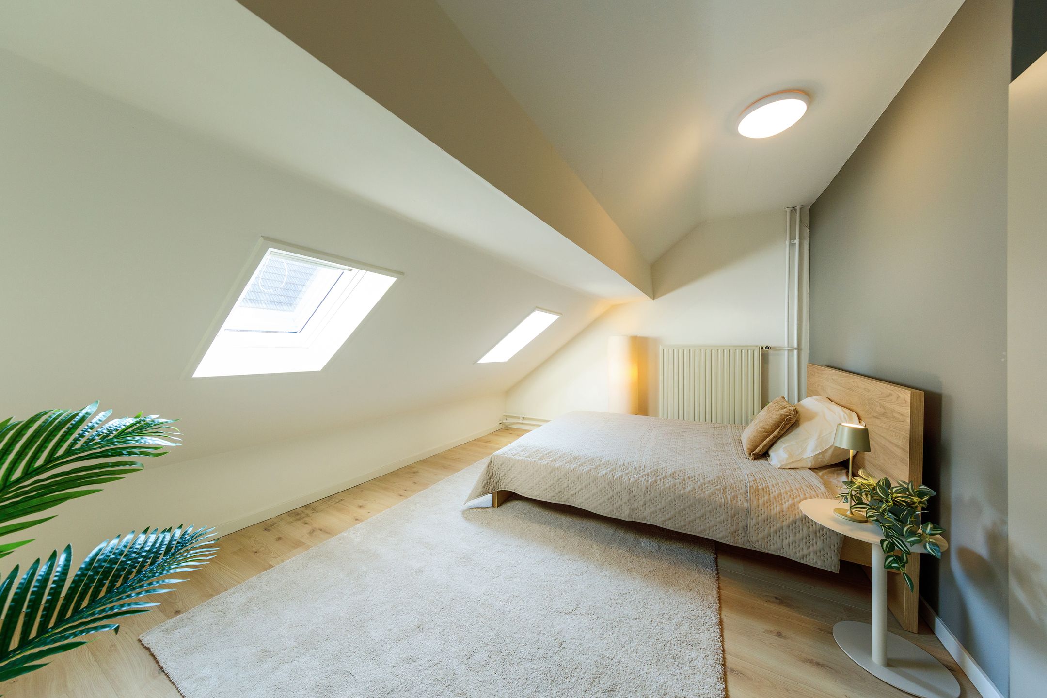 Foto 15 van Heilige Geeststraat 23