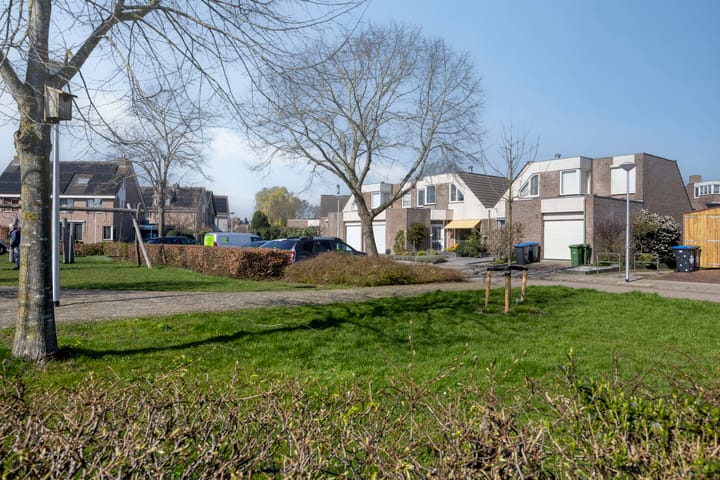 Photo 2 of Beemdgras 10