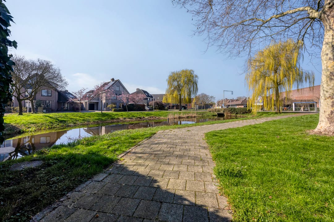 Foto 43 van Beemdgras 10