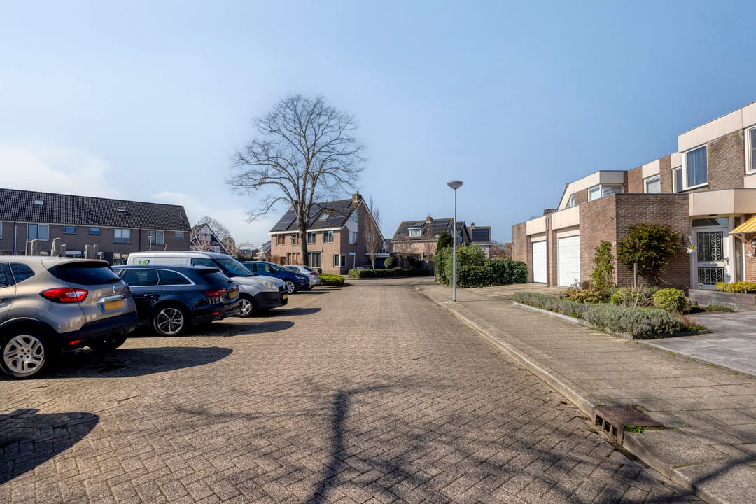 Foto 41 van Beemdgras 10