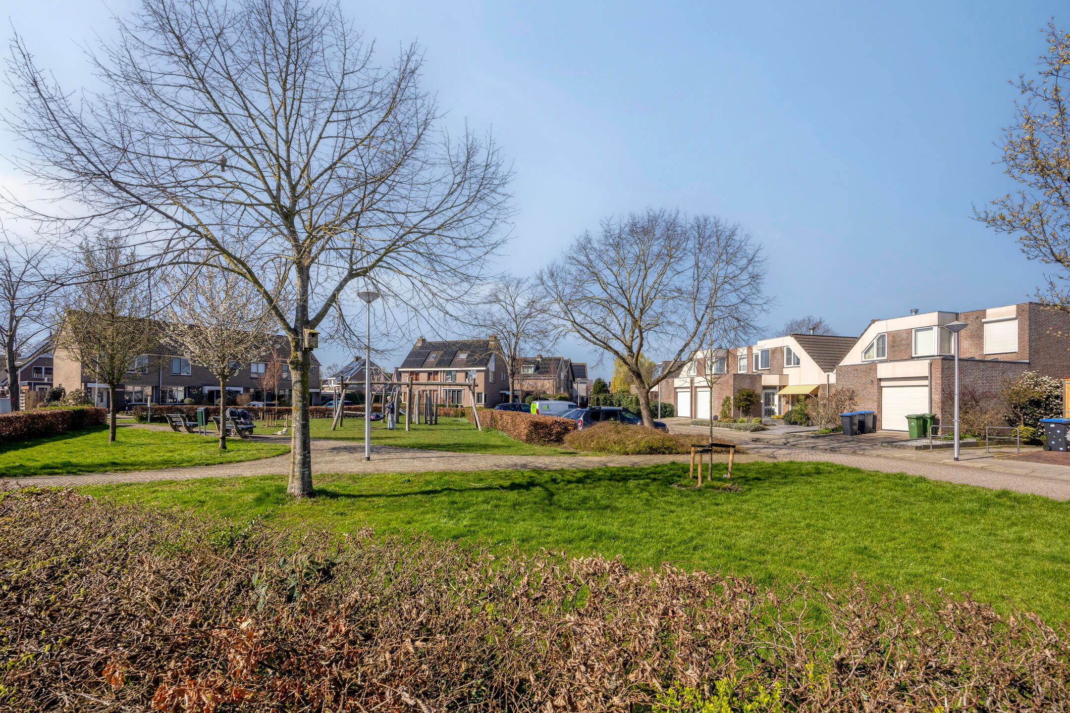 Foto 42 van Beemdgras 10