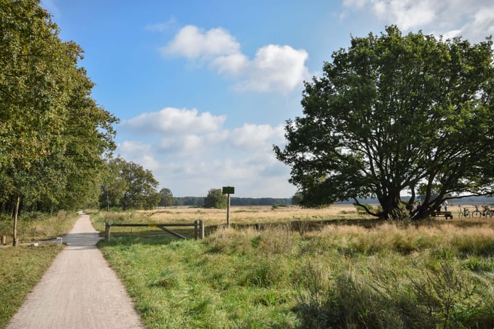 Foto 2 van Randweg 145