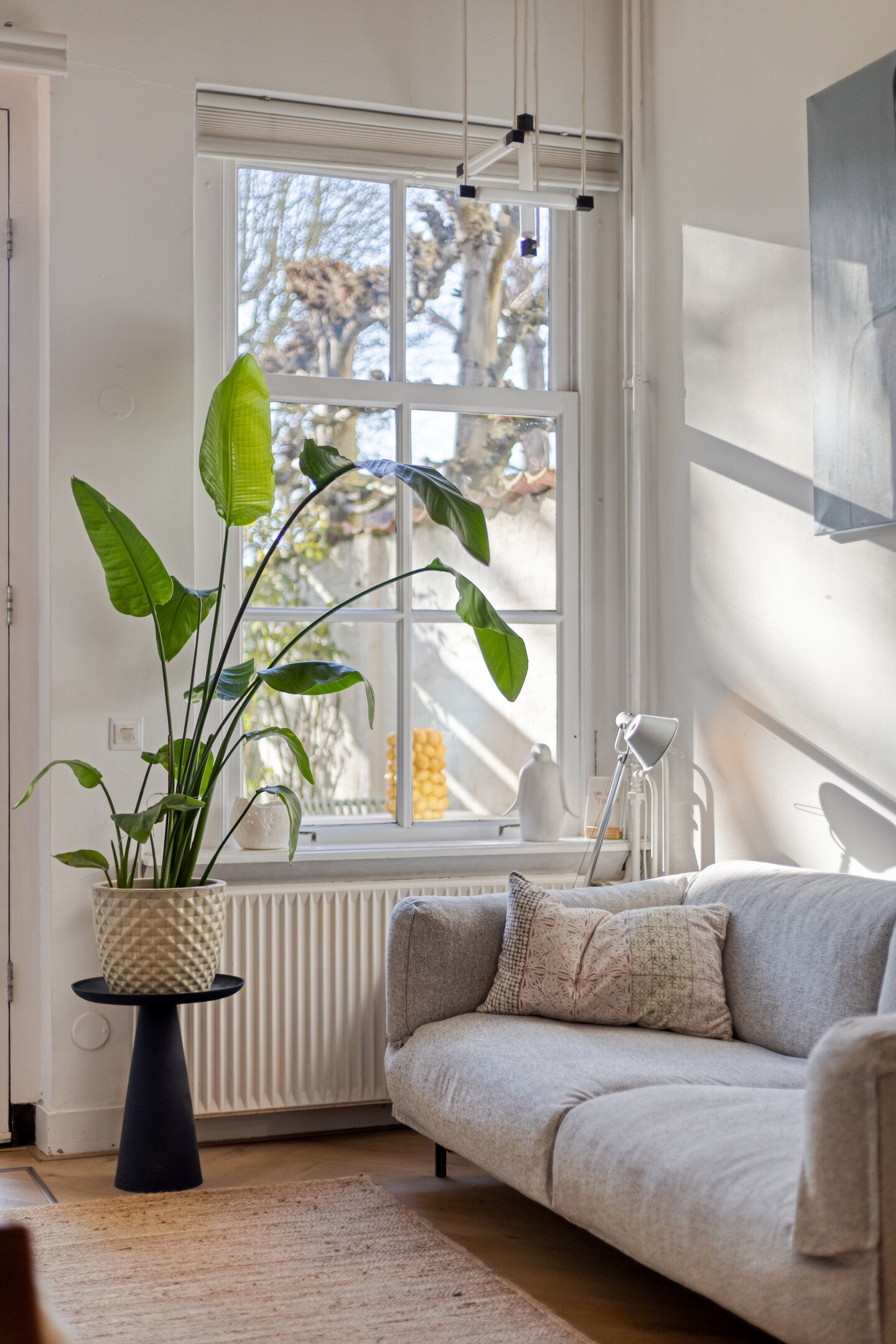 Photo 18 of Philippus Gastelaarsstraat 9-A