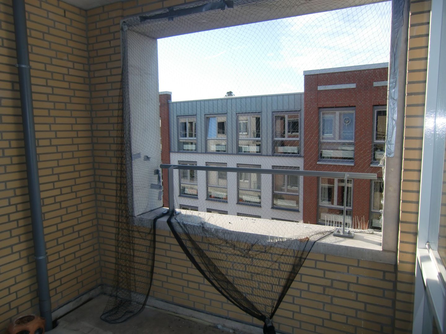 Foto 10 van Brederodelaan 40