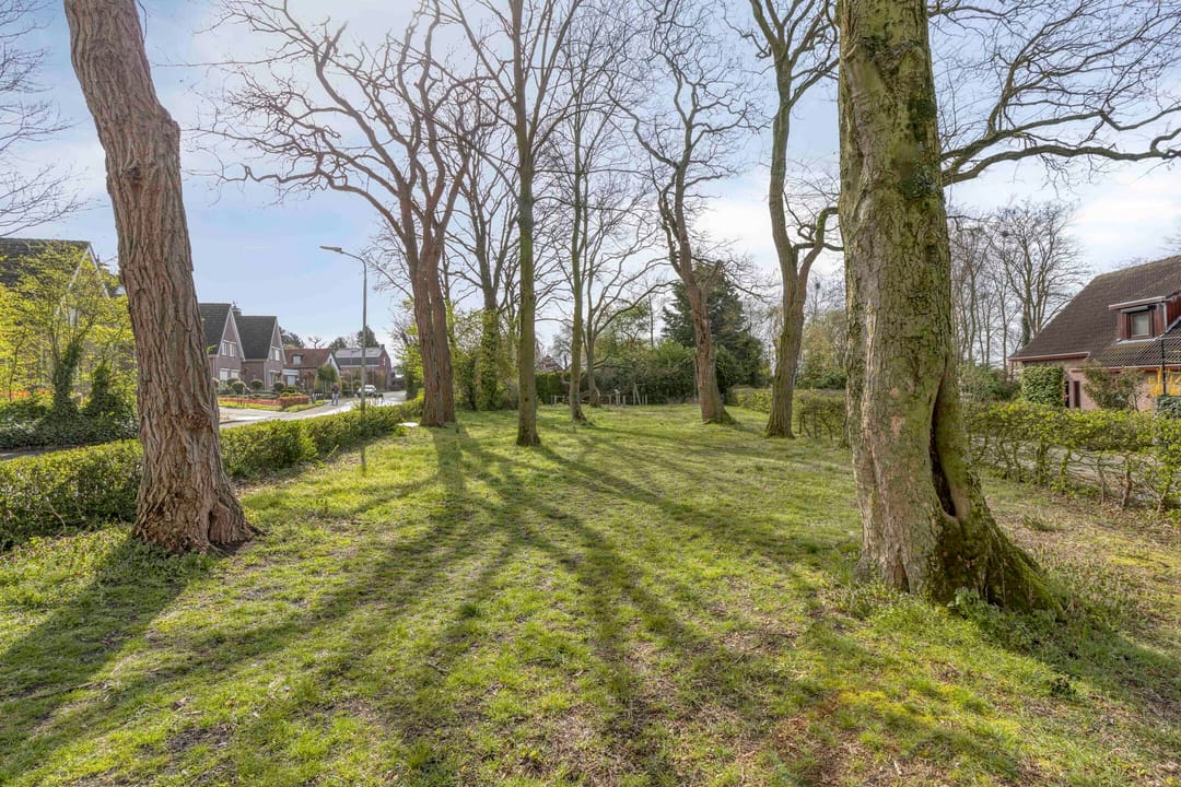 Spacious family home with sunny south-facing garden and garage in quiet green location — 45