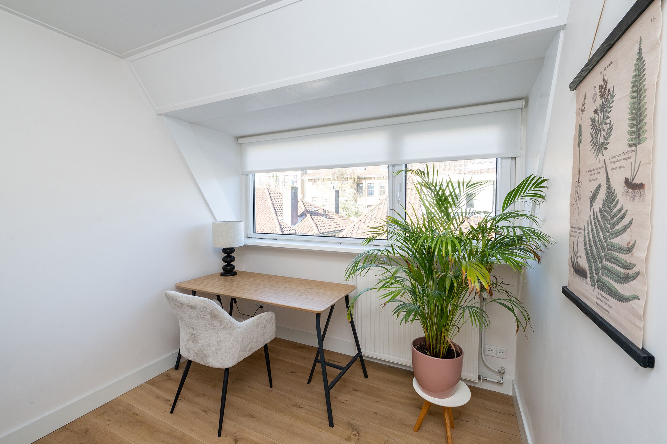 Foto 48 van Westerstraat 21