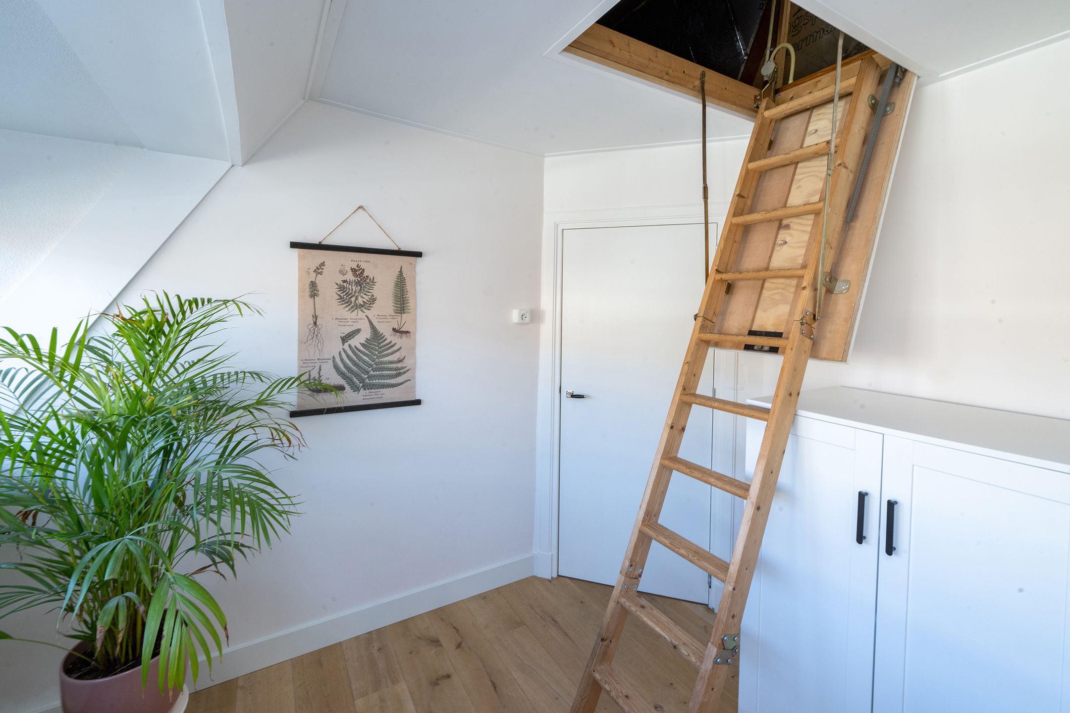 Foto 54 van Westerstraat 21