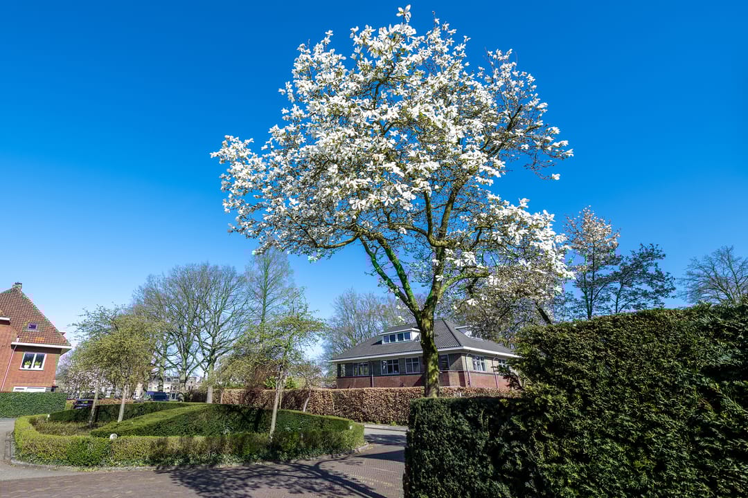 Foto 61 van Westerstraat 21