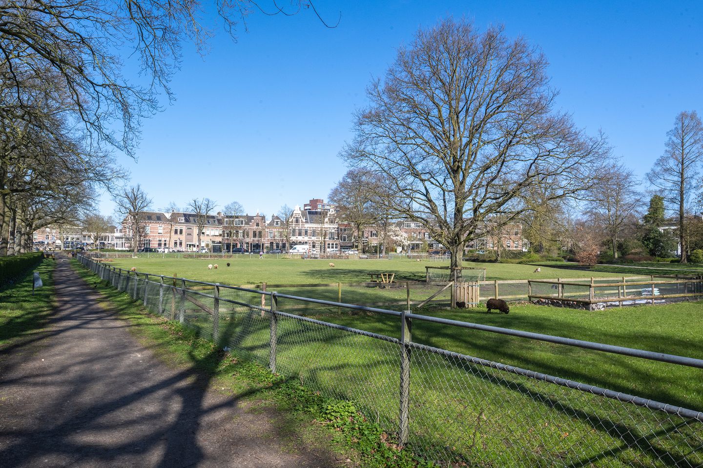 Foto 64 van Westerstraat 21