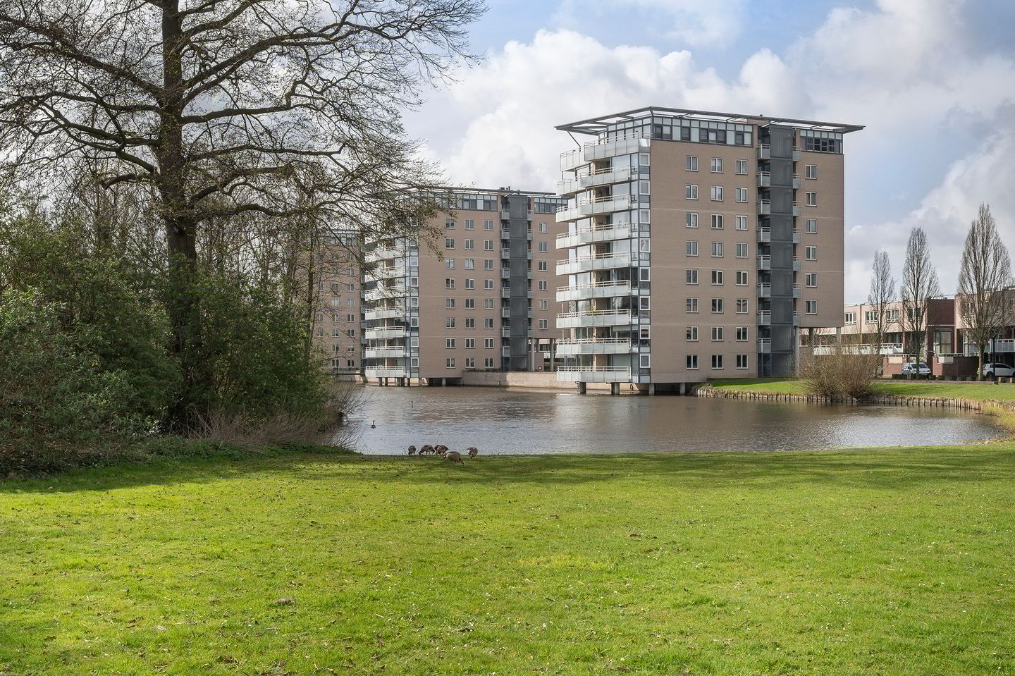 Foto 34 van Jan van Zutphenstraat 13