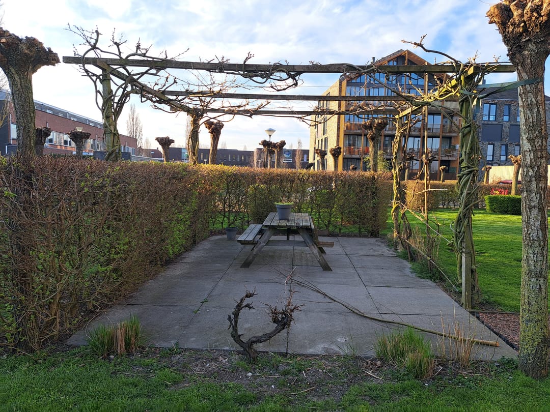 Photo 23 of Garen 18