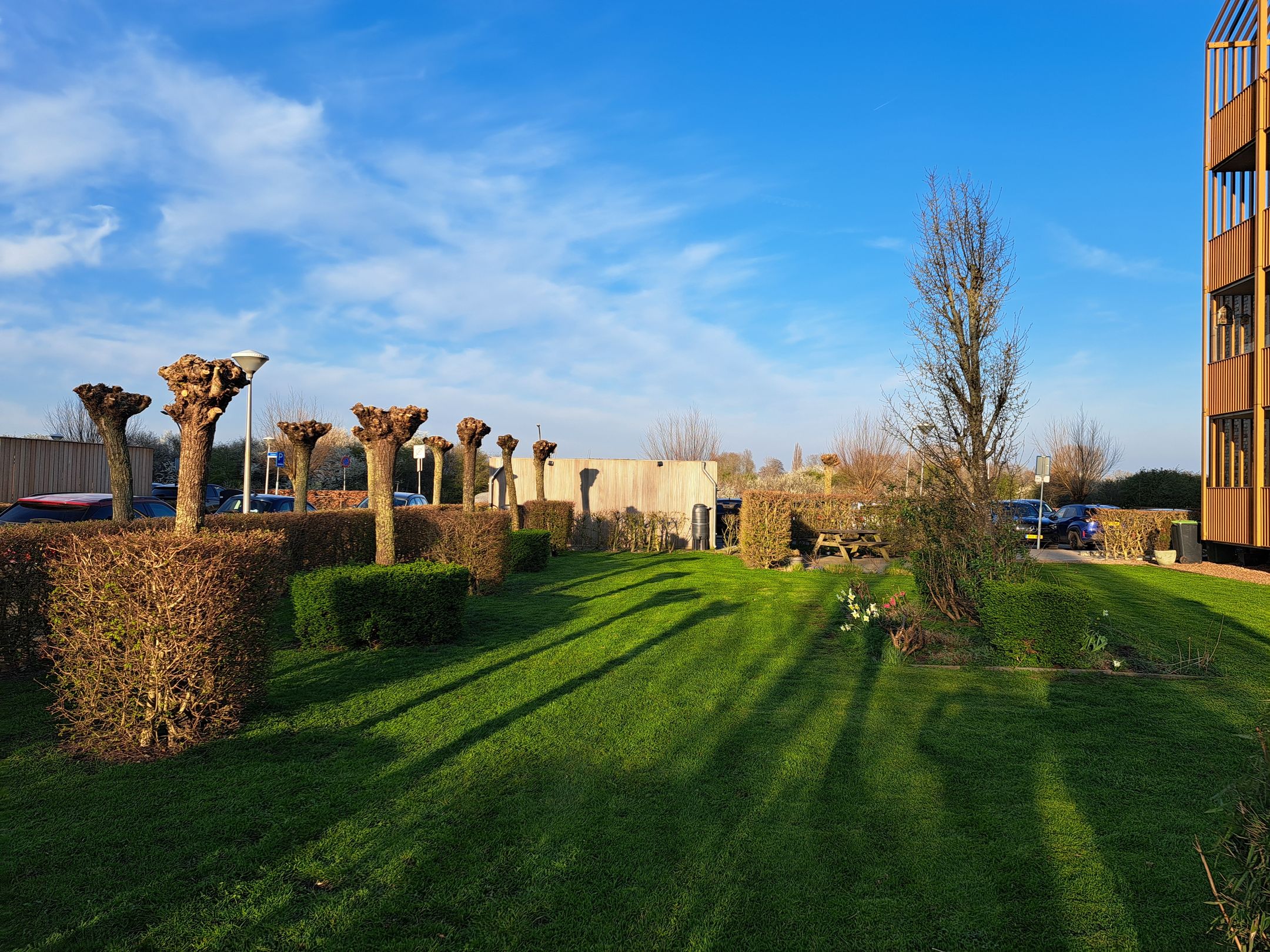 Photo 21 of Garen 18