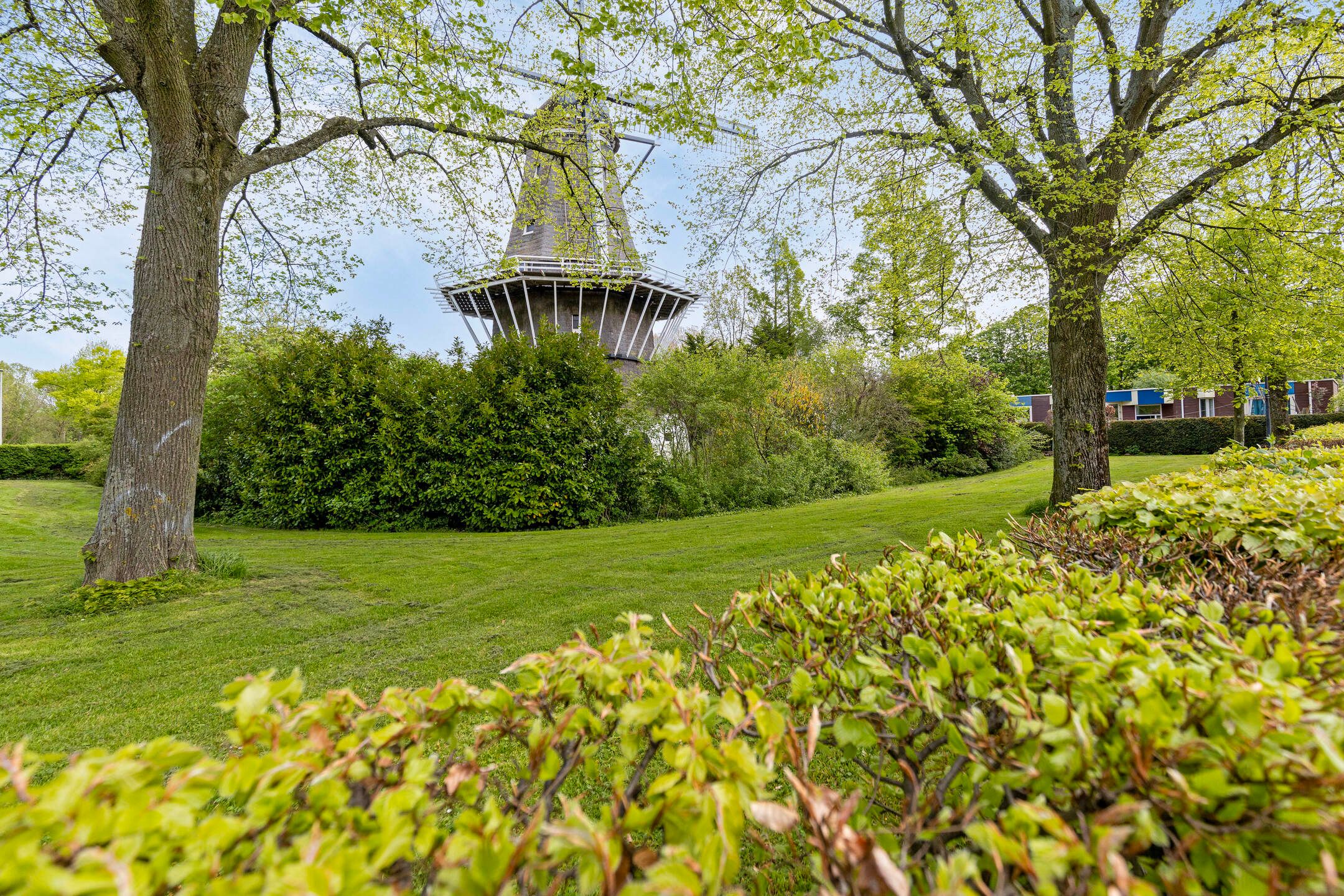 Foto 33 van Nieuwpoortstraat 86-A8