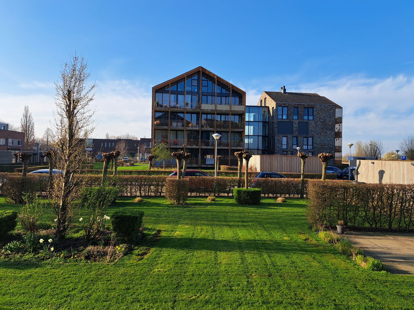 Photo 19 of Garen 18