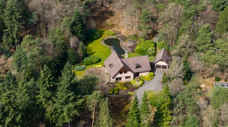 Dennenlaan thumbnail