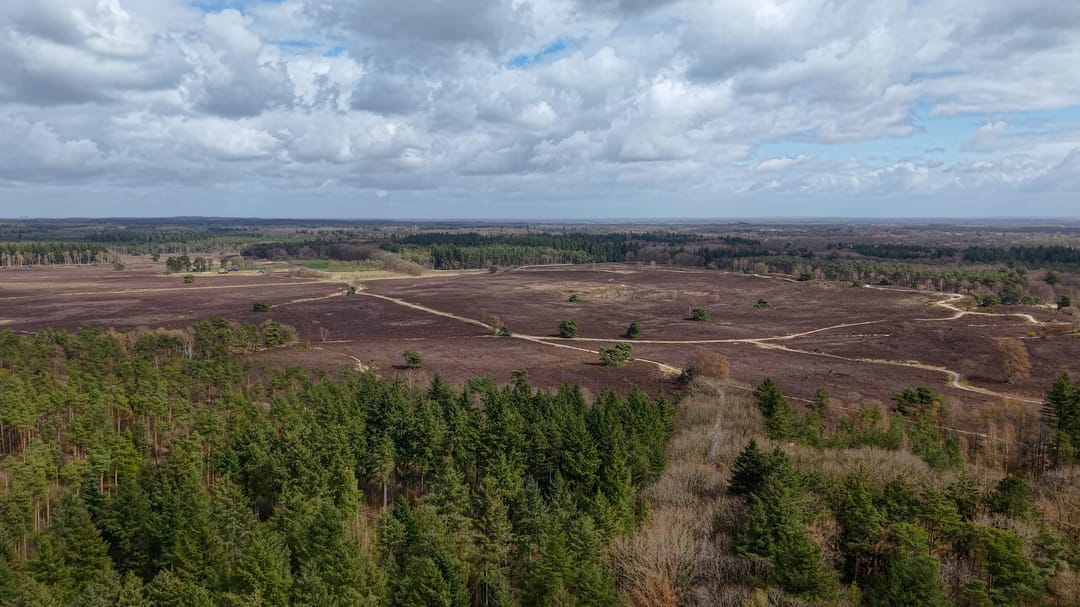 Foto 2 van Dennenlaan 9