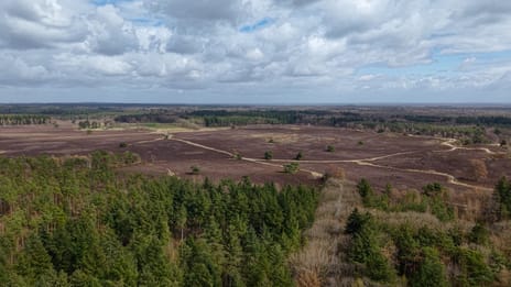 Dennenlaan 9 secondary image