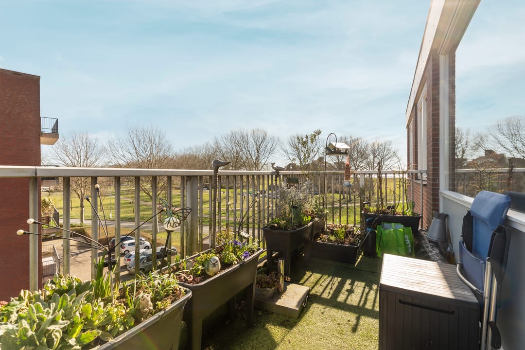 Foto 7 van Achterwerf 287