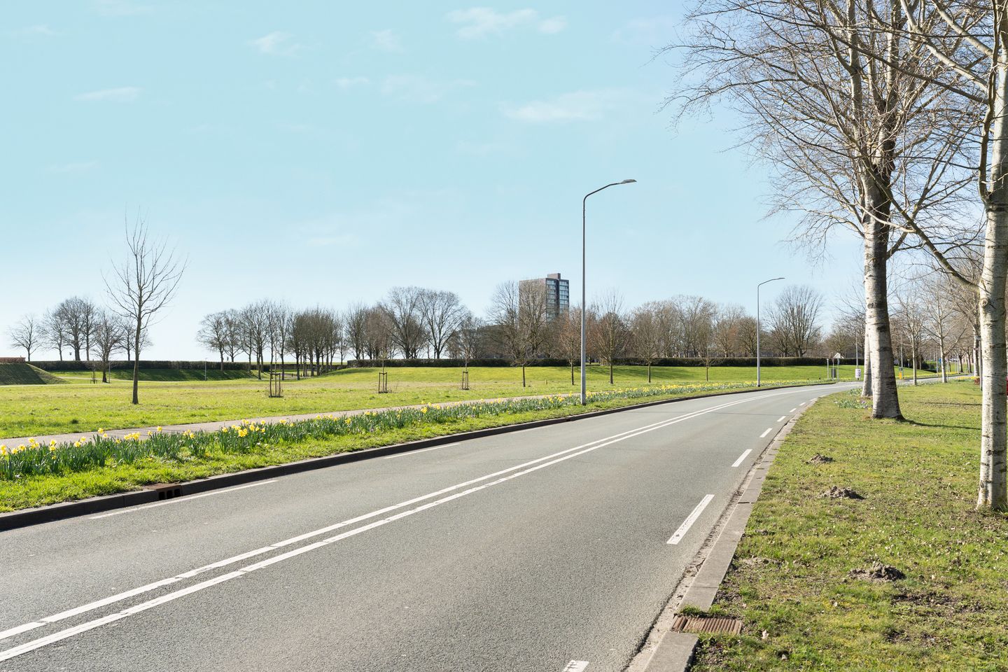 Foto 25 van Achterwerf 287