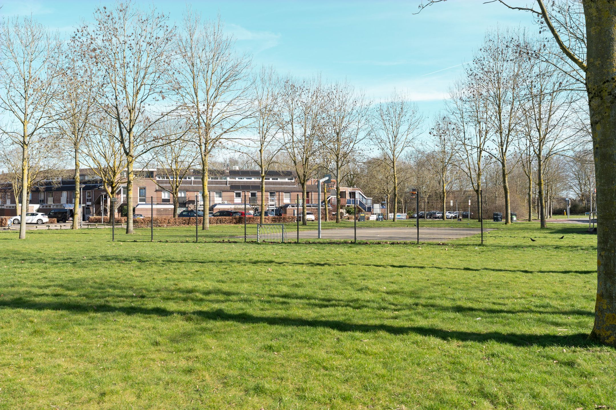 Foto 24 van Achterwerf 287