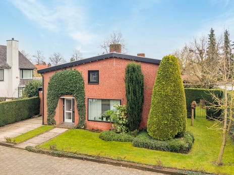 Boerhaavestraat thumbnail