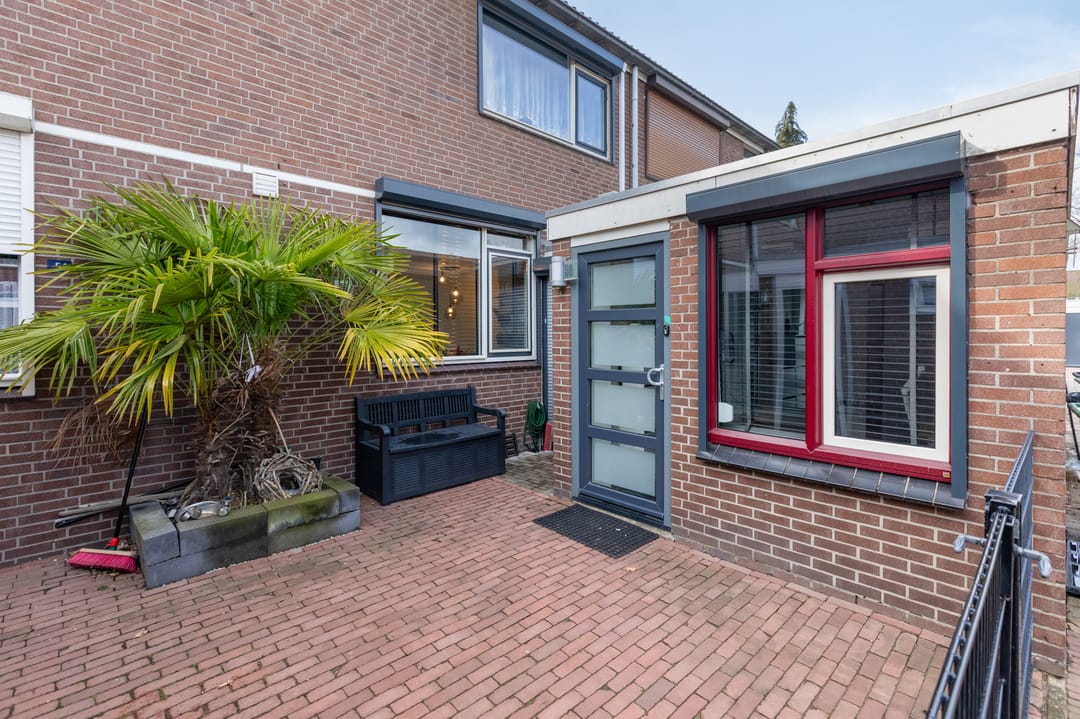 Foto 7 van Ganzepeppel 50