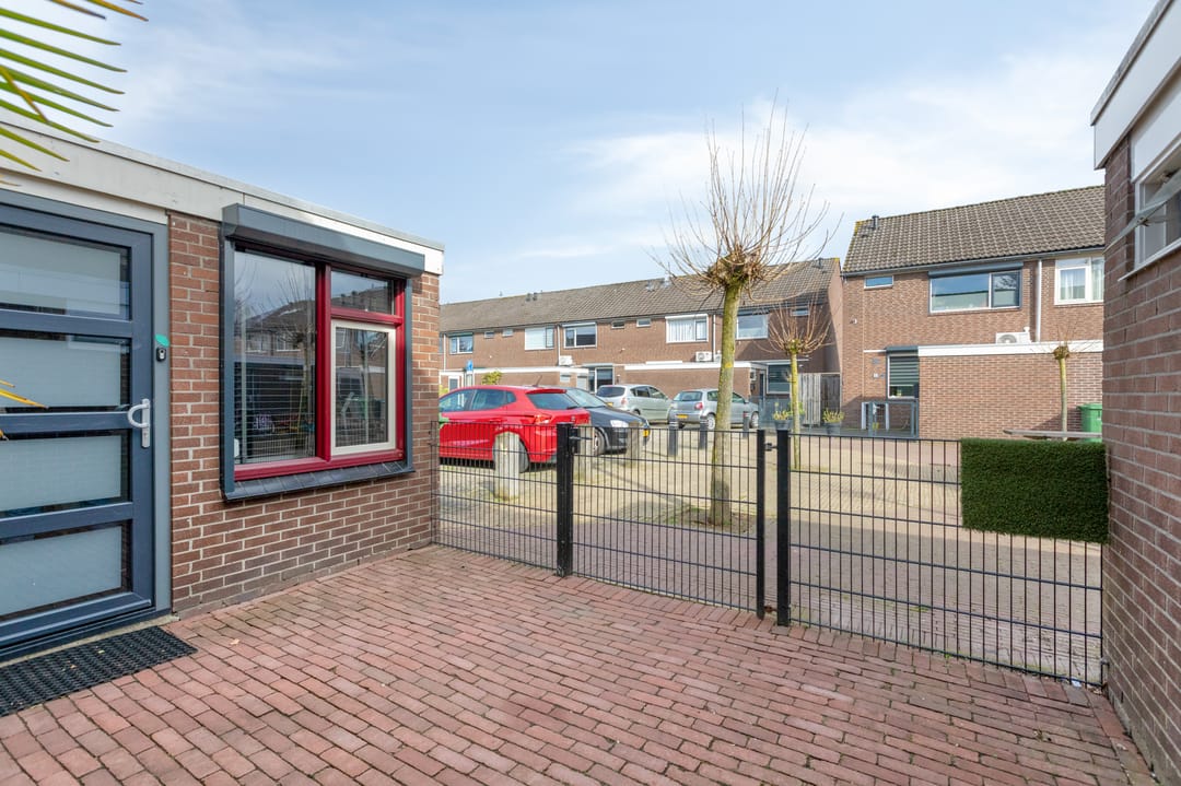 Foto 8 van Ganzepeppel 50