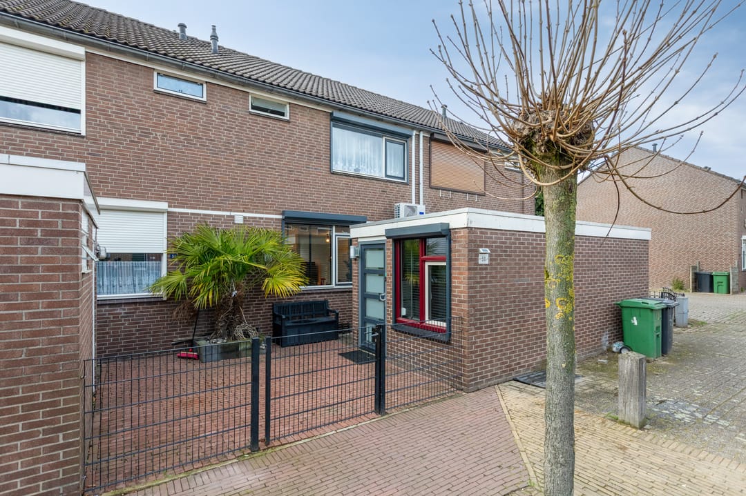 Foto 1 van Ganzepeppel 50