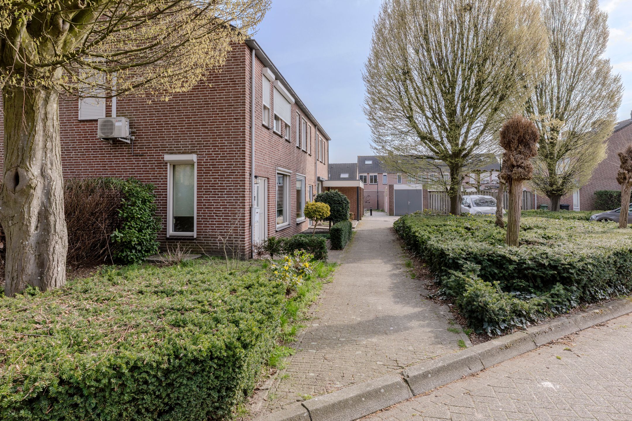 Photo 39 of Hagedoorn 10