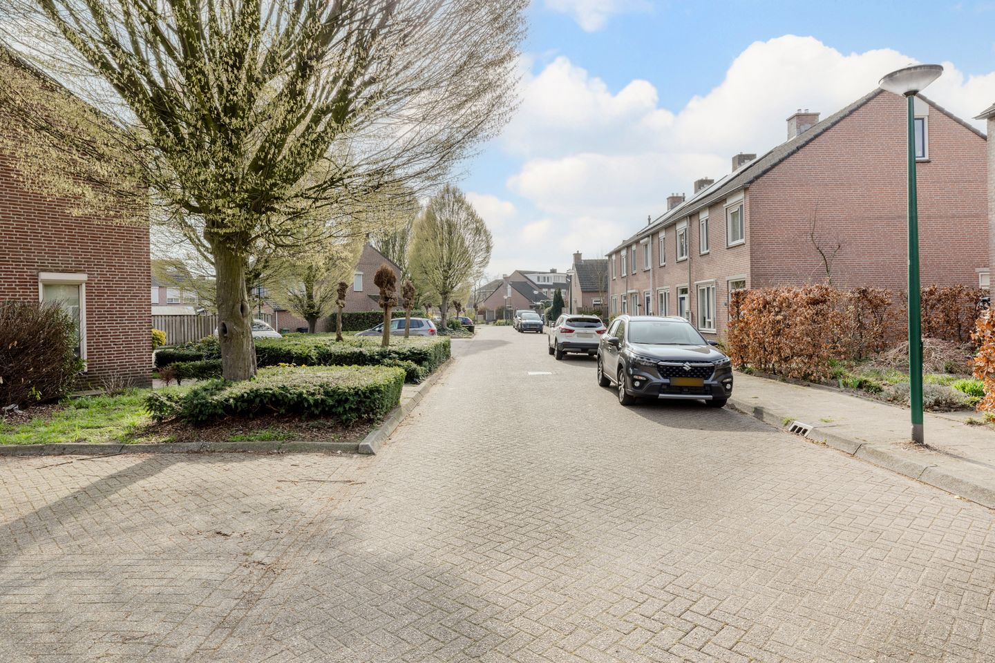 Photo 40 of Hagedoorn 10