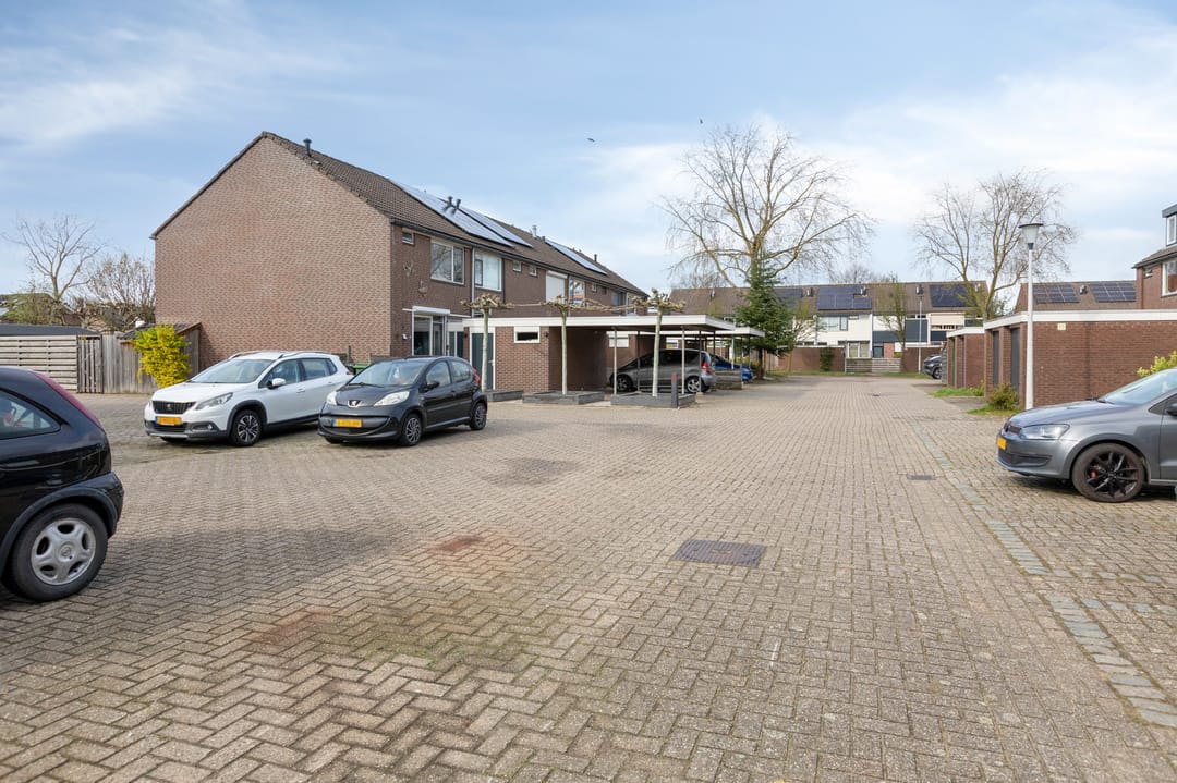 Foto 43 van Ganzepeppel 50