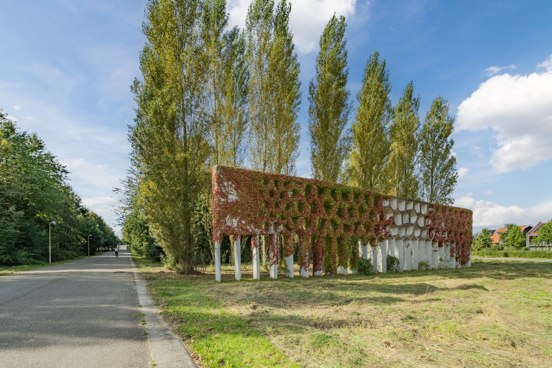 Foto 105 van Rijsterboslaan 3