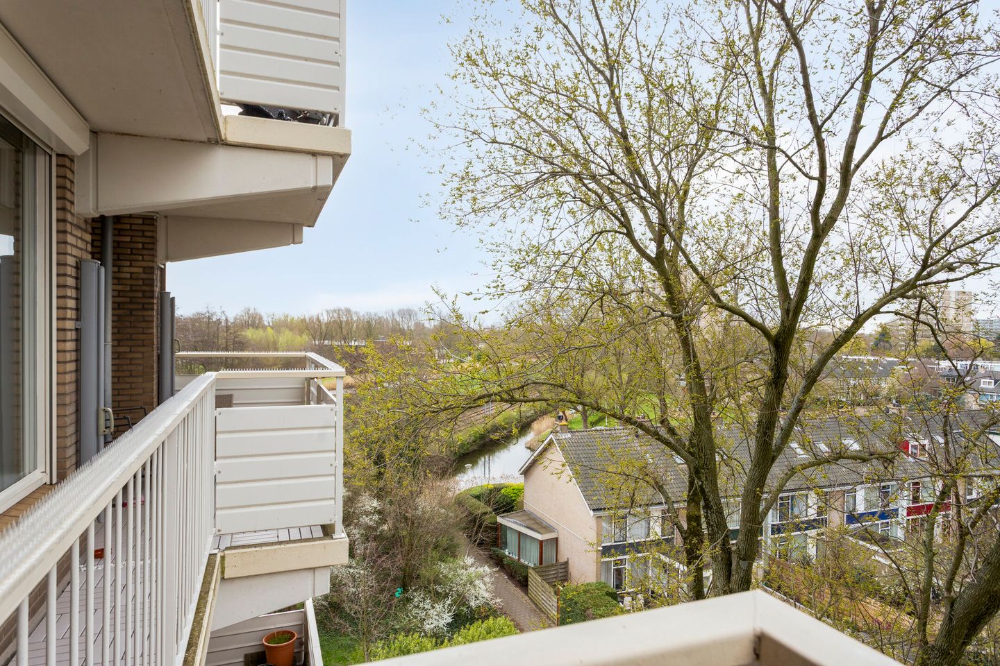 Foto 25 van Alexanderstraat 105