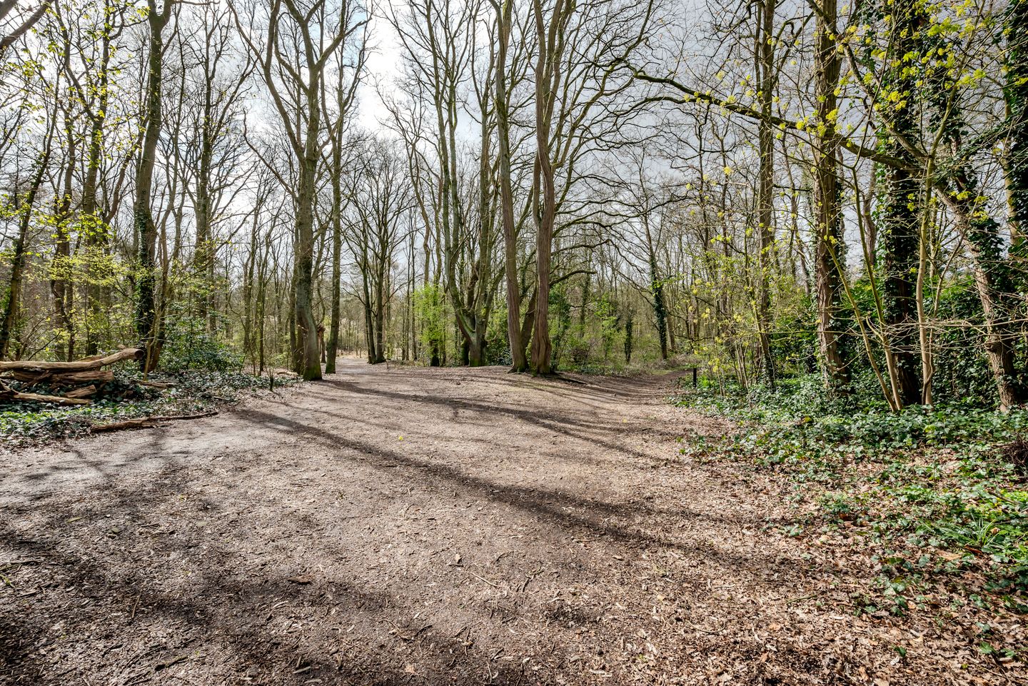 Photo 29 of Vluttersven 13