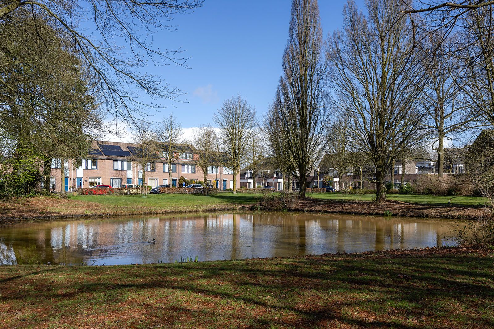 Foto 48 van Dilleveld 10