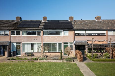 Zwaluwlaan thumbnail