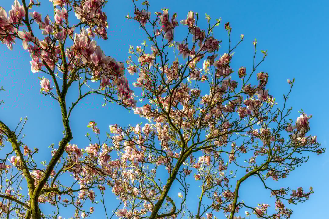 Photo 17 of Edelhertakker 29