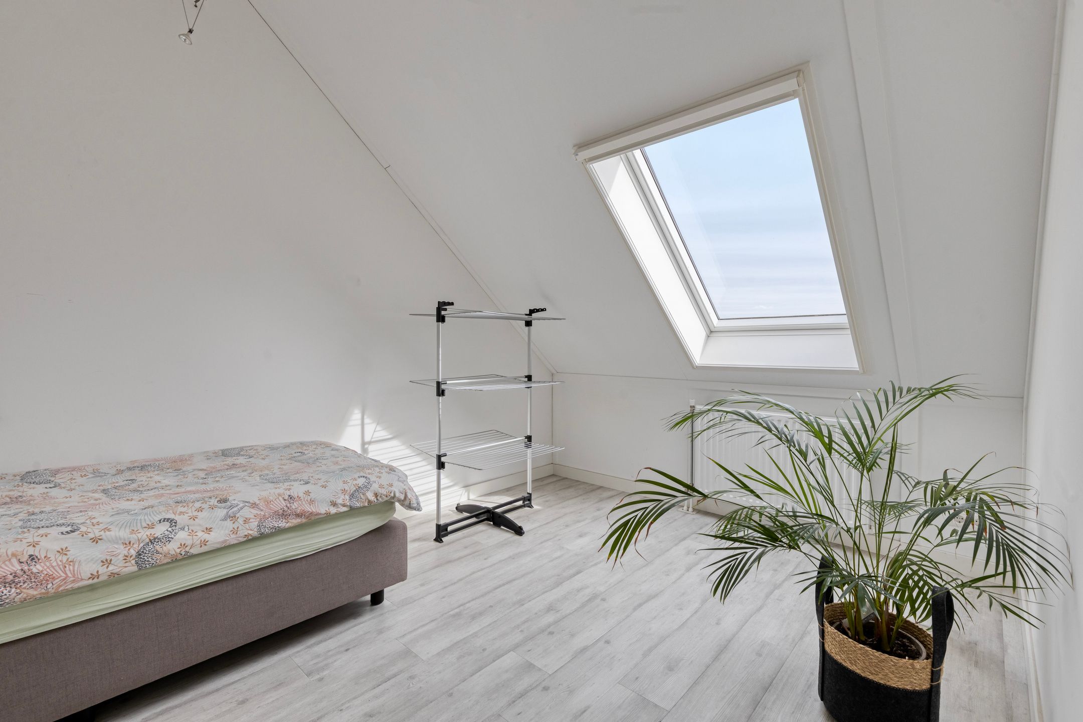 Foto 33 van Molenstraat 27