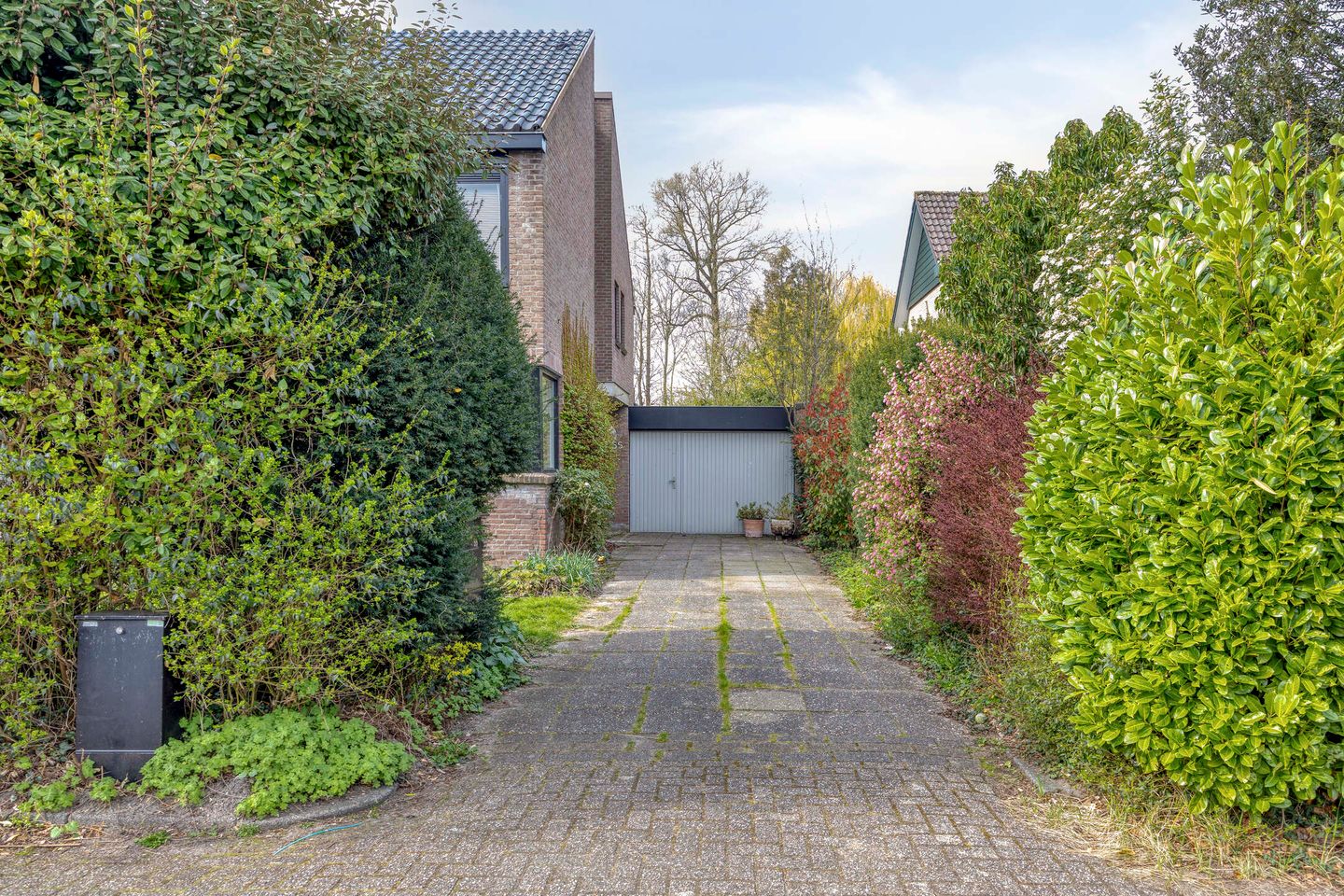 Foto 4 van Leiwater 55