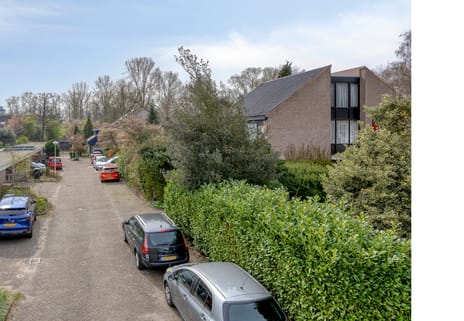 Leiwater 55 tertiary image