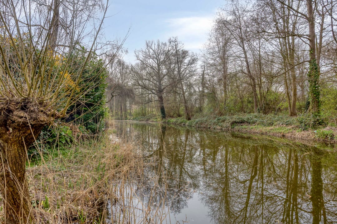 Foto 52 van Leiwater 55